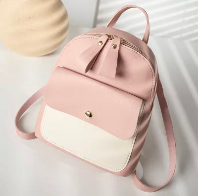 Mini bookbag/handbag