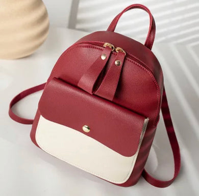 Mini bookbag/handbag